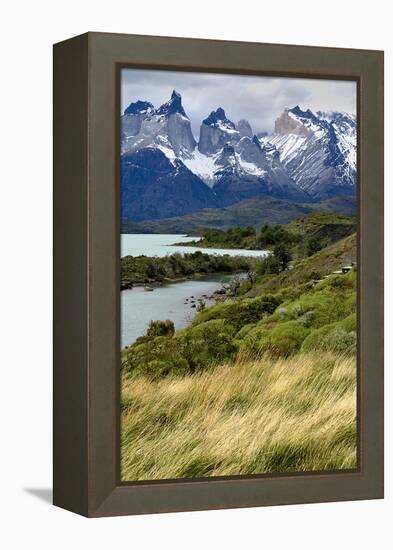 Chile, Patagonia Torres del Paine National Park with Grasses-John Ford-Framed Premier Image Canvas