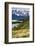 Chile, Patagonia Torres del Paine National Park with Grasses-John Ford-Framed Photographic Print