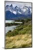 Chile, Patagonia Torres del Paine National Park with Grasses-John Ford-Mounted Photographic Print