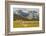 Chile, Patagonia, Torres del Paine NP. Landscape with Guanacos-Cathy & Gordon Illg-Framed Photographic Print