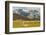 Chile, Patagonia, Torres del Paine NP. Landscape with Guanacos-Cathy & Gordon Illg-Framed Photographic Print