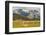 Chile, Patagonia, Torres del Paine NP. Landscape with Guanacos-Cathy & Gordon Illg-Framed Photographic Print