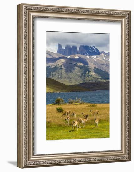 Chile, Patagonia, Torres del Paine NP. Mountains and Guanacos-Cathy & Gordon Illg-Framed Photographic Print