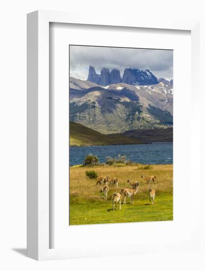 Chile, Patagonia, Torres del Paine NP. Mountains and Guanacos-Cathy & Gordon Illg-Framed Photographic Print