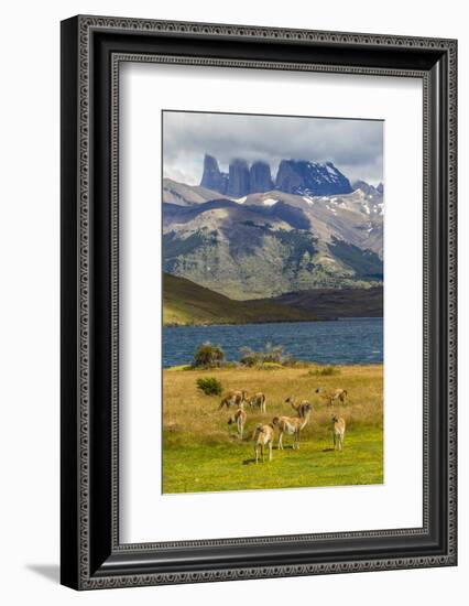 Chile, Patagonia, Torres del Paine NP. Mountains and Guanacos-Cathy & Gordon Illg-Framed Photographic Print