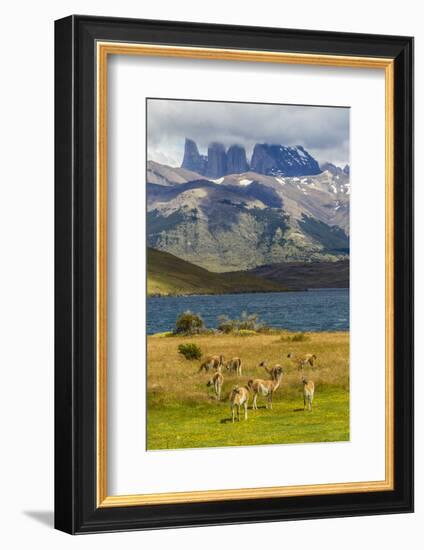 Chile, Patagonia, Torres del Paine NP. Mountains and Guanacos-Cathy & Gordon Illg-Framed Photographic Print