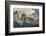 Chile, Patagonia, Torres del Paine NP. the Horns Mountains-Cathy & Gordon Illg-Framed Photographic Print