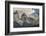 Chile, Patagonia, Torres del Paine NP. the Horns Mountains-Cathy & Gordon Illg-Framed Photographic Print