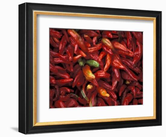 Chile Stand, Taos, New Mexico, USA-Judith Haden-Framed Photographic Print