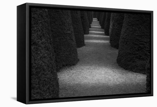 Chile-Art Wolfe-Framed Premier Image Canvas