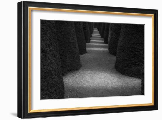 Chile-Art Wolfe-Framed Photographic Print