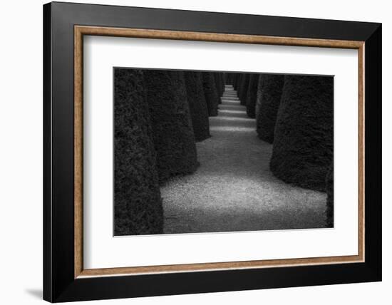 Chile-Art Wolfe-Framed Photographic Print