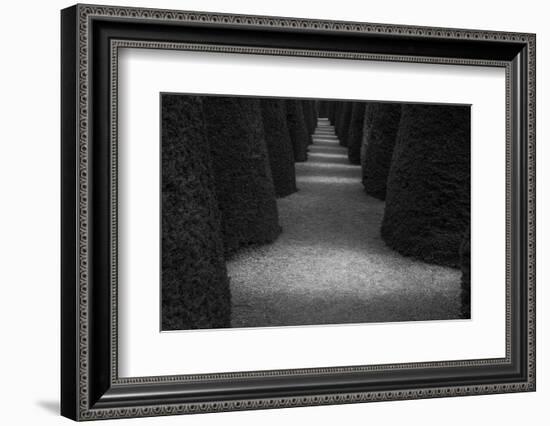 Chile-Art Wolfe-Framed Photographic Print