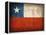 Chile-David Bowman-Framed Premier Image Canvas