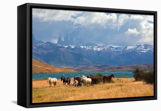 Chilean Andes. Fabulous Lake Laguna Azul. in the Distance Visible Rocks Torres Del Paine.  on the L-kavram-Framed Premier Image Canvas