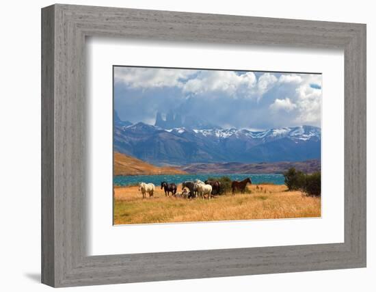 Chilean Andes. Fabulous Lake Laguna Azul. in the Distance Visible Rocks Torres Del Paine.  on the L-kavram-Framed Photographic Print