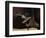 Chilean Cowboy with Elaborate Spurs-Paul Souders-Framed Photographic Print