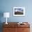 Chilean Flag on a Overlook, Puerto Ibanez, Aysen, Chile-Fredrik Norrsell-Framed Photographic Print displayed on a wall