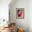 Chilean Flamingo-Adam Jones-Framed Photographic Print displayed on a wall