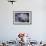 Chilean Flamingos (Phoenicopterus Chilensis) in Flight over Mountain Peaks, Chile-Ben Hall-Framed Photographic Print displayed on a wall