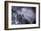 Chilean Flamingos (Phoenicopterus Chilensis) in Flight over Mountain Peaks, Chile-Ben Hall-Framed Photographic Print