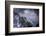 Chilean Flamingos (Phoenicopterus Chilensis) in Flight over Mountain Peaks, Chile-Ben Hall-Framed Photographic Print