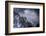 Chilean Flamingos (Phoenicopterus Chilensis) in Flight over Mountain Peaks, Chile-Ben Hall-Framed Photographic Print