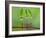 Chili Cilider Team-Yahya Taufikurrahman-Framed Photographic Print