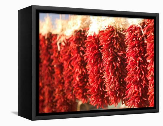 Chili Pepper Ristras, Santa Fe, New Mexico-Walter Bibikow-Framed Premier Image Canvas