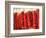 Chili Pepper Ristras, Santa Fe, New Mexico-Walter Bibikow-Framed Photographic Print