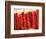 Chili Pepper Ristras, Santa Fe, New Mexico-Walter Bibikow-Framed Photographic Print