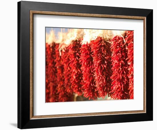 Chili Pepper Ristras, Santa Fe, New Mexico-Walter Bibikow-Framed Photographic Print