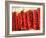 Chili Pepper Ristras, Santa Fe, New Mexico-Walter Bibikow-Framed Photographic Print