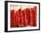 Chili Pepper Ristras, Santa Fe, New Mexico-Walter Bibikow-Framed Photographic Print