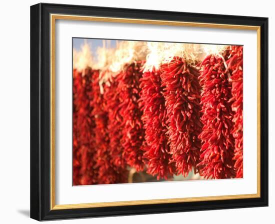 Chili Pepper Ristras, Santa Fe, New Mexico-Walter Bibikow-Framed Photographic Print