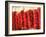 Chili Pepper Ristras, Santa Fe, New Mexico-Walter Bibikow-Framed Photographic Print