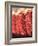 Chili Pepper Ristras, Santa Fe, New Mexico-Walter Bibikow-Framed Photographic Print