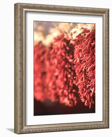 Chili Pepper Ristras, Santa Fe, New Mexico-Walter Bibikow-Framed Photographic Print