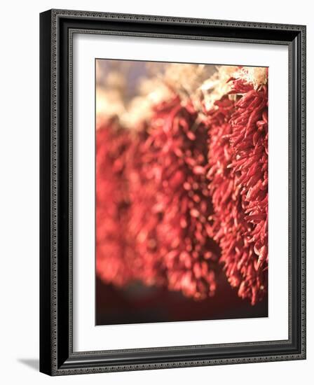 Chili Pepper Ristras, Santa Fe, New Mexico-Walter Bibikow-Framed Photographic Print