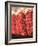 Chili Pepper Ristras, Santa Fe, New Mexico-Walter Bibikow-Framed Photographic Print