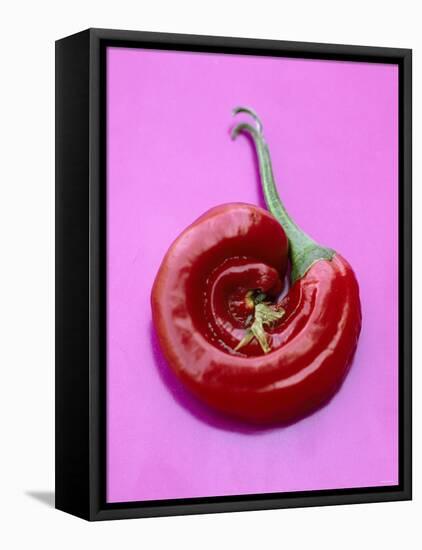 Chili Pepper, Round-Marc O^ Finley-Framed Premier Image Canvas