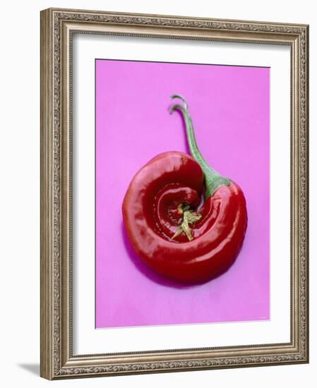 Chili Pepper, Round-Marc O^ Finley-Framed Photographic Print