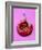 Chili Pepper, Round-Marc O^ Finley-Framed Photographic Print