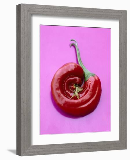 Chili Pepper, Round-Marc O^ Finley-Framed Photographic Print