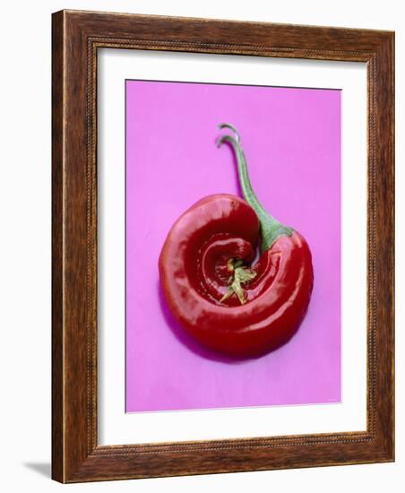 Chili Pepper, Round-Marc O^ Finley-Framed Photographic Print