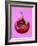 Chili Pepper, Round-Marc O^ Finley-Framed Photographic Print