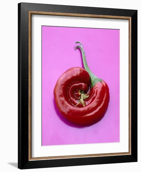Chili Pepper, Round-Marc O^ Finley-Framed Photographic Print