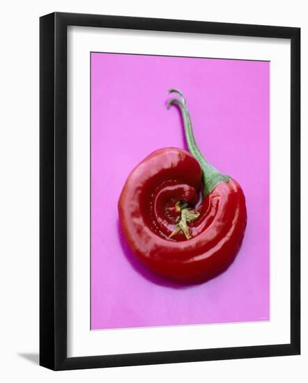 Chili Pepper, Round-Marc O^ Finley-Framed Photographic Print