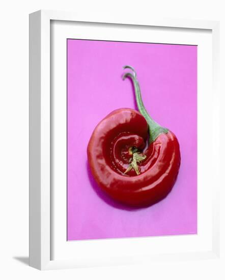 Chili Pepper, Round-Marc O^ Finley-Framed Photographic Print