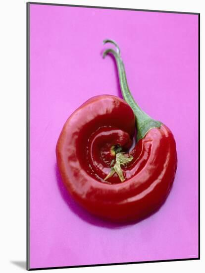 Chili Pepper, Round-Marc O^ Finley-Mounted Photographic Print